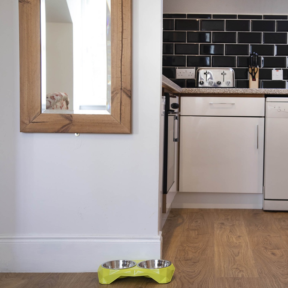Dog Friendly Kitchen